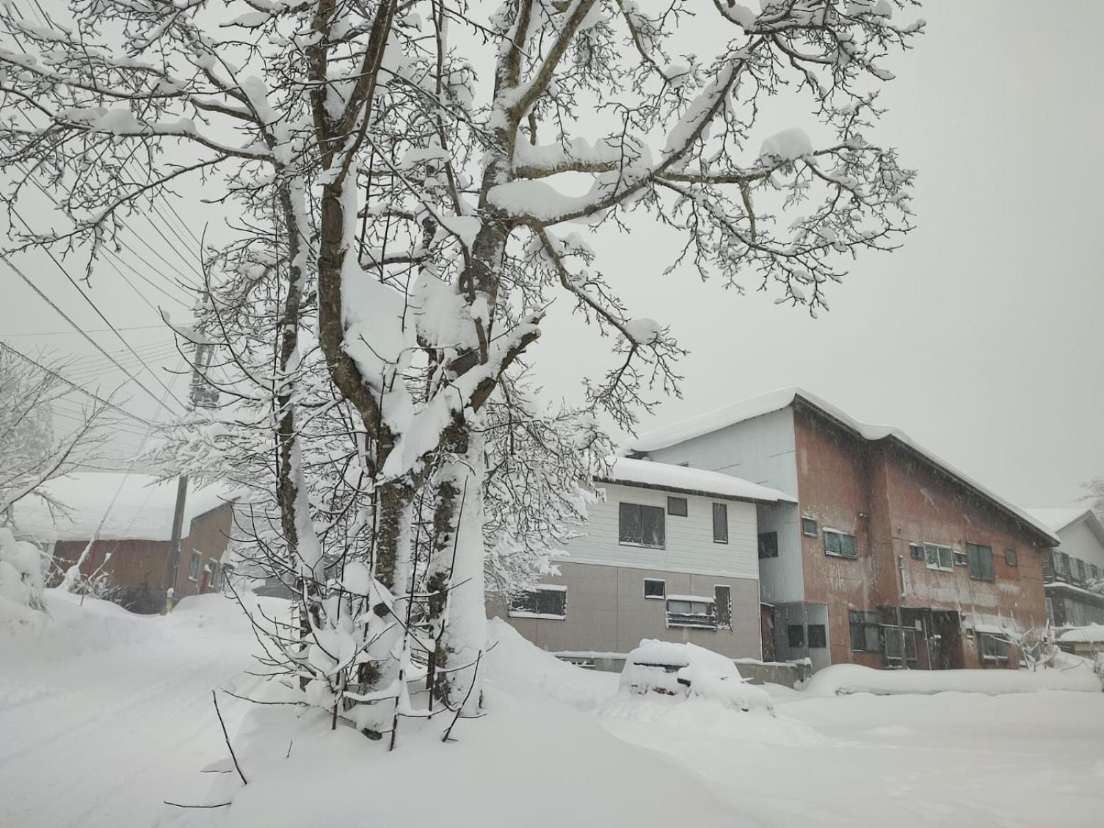Peuf Lodge Otari Exteriör bild